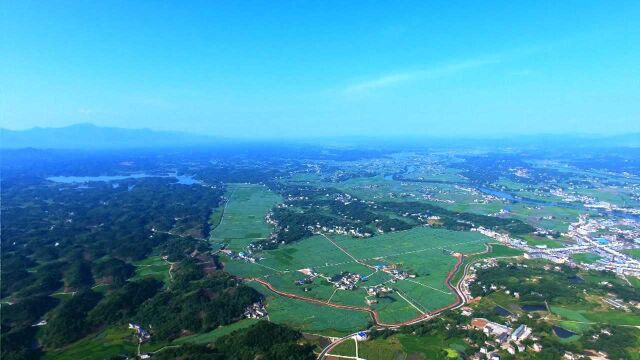 湘潭县花石镇:湘莲飘香业正兴