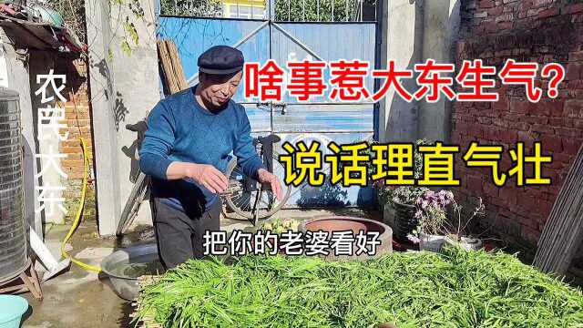 大东又遇到啥事了?为啥要说网友多陪爹妈说说话