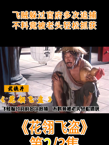 武侠片#花翎飞盗#电影解说#武侠片#老电影#张继波