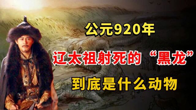 公元920年,耶律阿保机射死的那条“黑龙”,到底是什么动物?