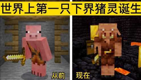 我的世界:下界第一只猪灵的诞生。_高清1080P在线观看平台_腾讯视频
