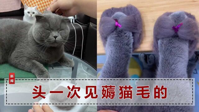 江苏女子用猫毛给爱猫做鞋子,网友:鞋有了,头却秃了