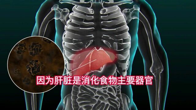 应酬酒局不断,肝受损?医生提醒:喝酒做好2件事,解酒又护肝