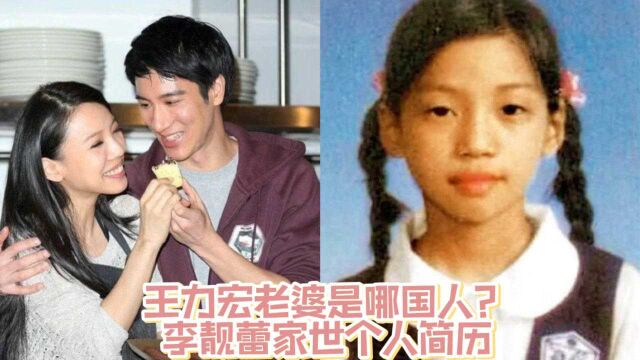 王力宏老婆是哪国人?李靓蕾家世个人简历