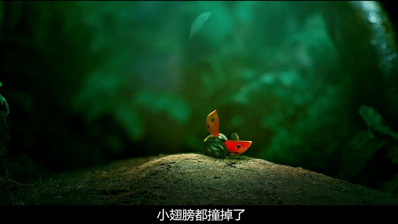黑蚂蚁红蚂蚁世纪大战,小瓢虫意外发现美味,联合黑蚂蚁搬运回蚁巢