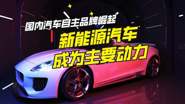 国内汽车自主品牌崛起,新能源汽车成为主要动力