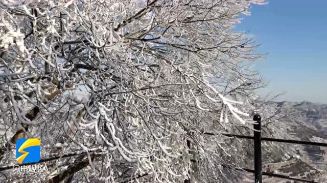 银装素裹 美不胜收 青州仰天山出现雪凇雾凇景观