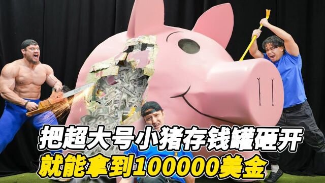 超大号的小猪存钱罐你见过吗?只要把它砸开就能拿到10万美金!