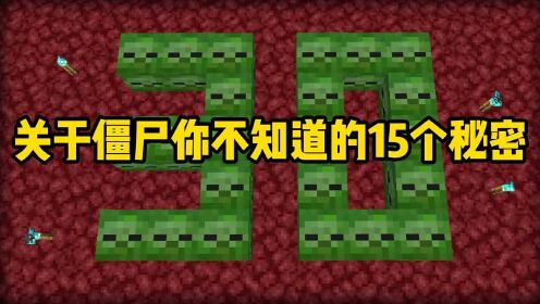 我的世界：关于僵尸你不知道的15个小秘密。