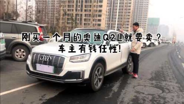 纯电动奥迪Q2L etron,新能源一个月跑一万公里就要卖?亏大了!