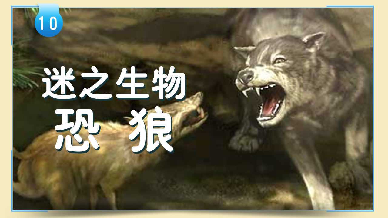 第10集 恐狼:迷之生物_高清1080P在线观看平台_腾讯视频