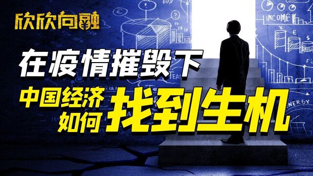 再见2021,望2022早日和疫情再见 | 疫情下的中国经济