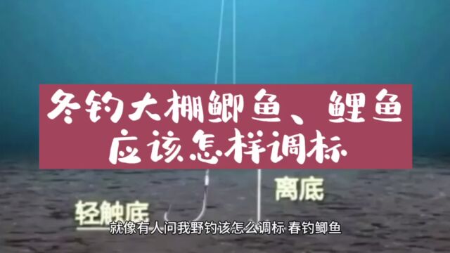 冬钓大棚鲫鱼、鲤鱼应该怎样调标?