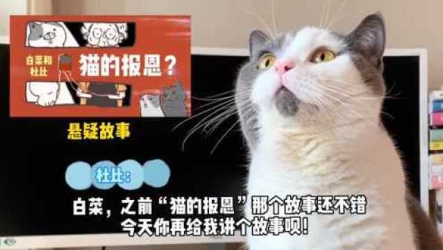 你可能听过“活了100万次的猫”,但这次的故事发生在平行宇宙!