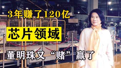 [图]格力借道收购半导体巨头，3年30亿变150亿！董明珠又“赌”赢了？