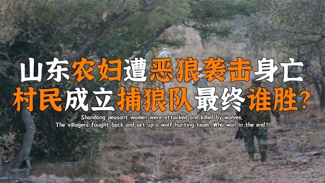 山东一农妇遭恶狼袭击身亡,村民成立捕狼队反击,人狼大战最终谁胜?