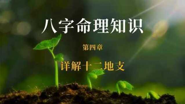 【管用老师】8小时学会看四柱八字,从入门到精通.第四章:详解十二地支