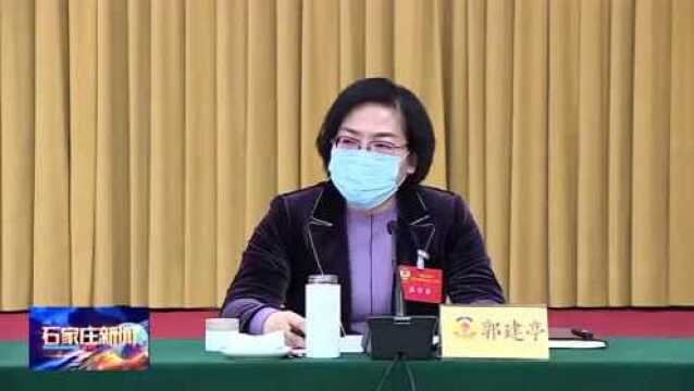 张超超参加市政协十四届二次会议联组讨论