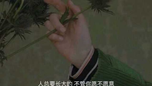 没有明确表示的爱意,都是错觉.我的意思是说,你不要再自欺欺人了.#虎力全开闹看点 #文案