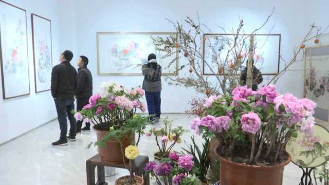 迎新春“国色天香”吴建峰牡丹画艺术暨菏泽牡丹花展举行