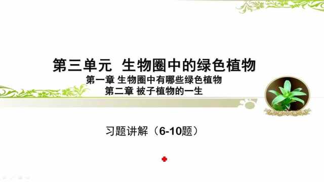 第三单元 生物圈中的绿色植物(生物圈中有哪些绿色植物和被子植物的一生)610