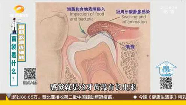 牙齿盲袋是啥?一张图带你了解