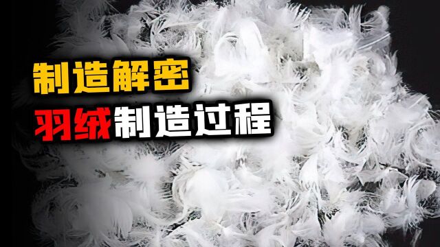 羽绒被为啥能保暖?先分离羽绒,再定量填充,提高弹性值最关键