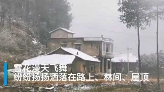 30秒|瑞雪兆丰年 四川南充部分地区迎来立春后的雪花