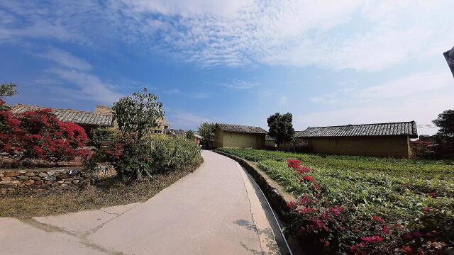 北流新圩镇河村美景