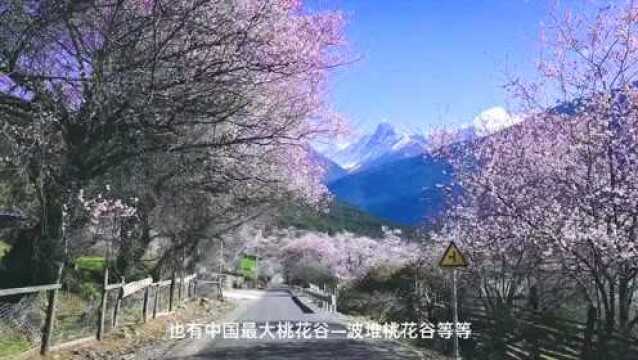 沿着318感受帕隆藏布,你都能看到哪些美景?