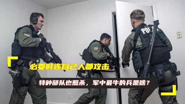 必要时连自己人都攻击,特种部队也照杀,军中最牛的兵是啥?