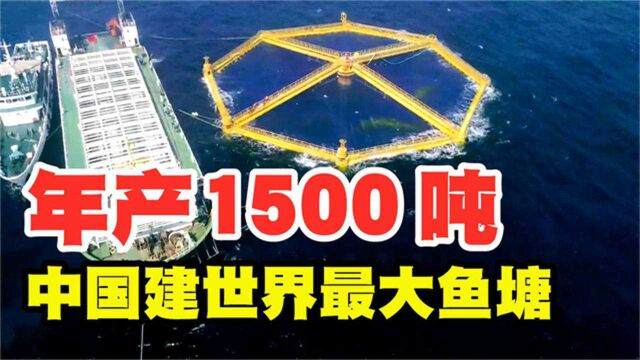 年产1500吨!中国在黄海建全球最大深海鱼塘,场面太壮观!