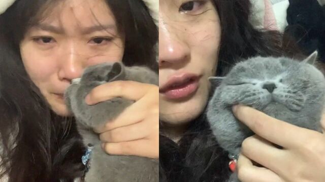 女子被情感故事感动到落泪,随手抓起一旁猫咪擦起眼泪:猫纸巾?