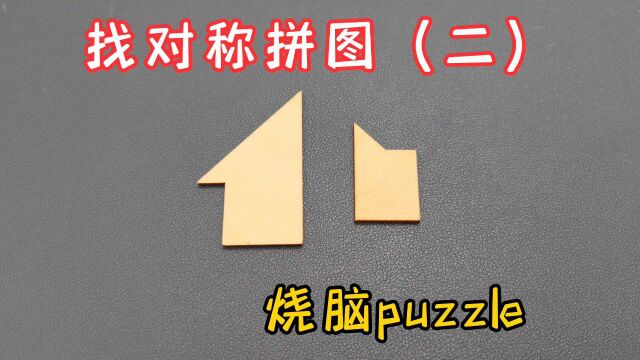 找对秤拼图(二)烧脑puzzle,把两个木块拼出一个对称图形,益智