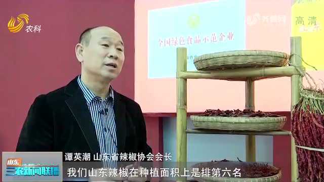 【好品山东】“全国十大名椒”武城辣椒 :色鲜味美、辣度适中,小辣椒串起“红色产业链”