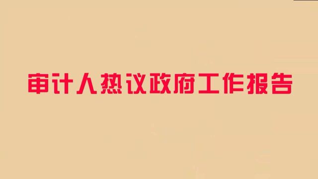 审计人热议政府工作报告(四)