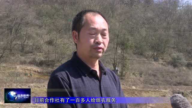 【乡村振兴进行时】隆兴镇:七千亩烟地施肥起垄稳步推进