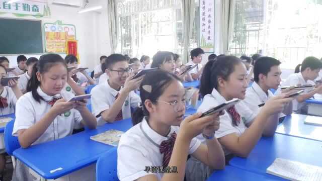 壶西教师的一天——中小学教师信息技术应用能力提升工程2.0组织实施典型案例