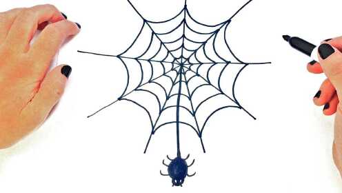 和我一起学画画，今天我们来画蜘蛛网！