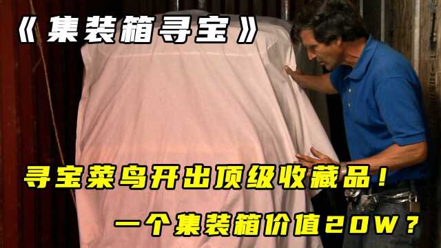 集装箱寻宝:菜鸟开盲盒开出顶级收藏品!一个集装箱价值20w?