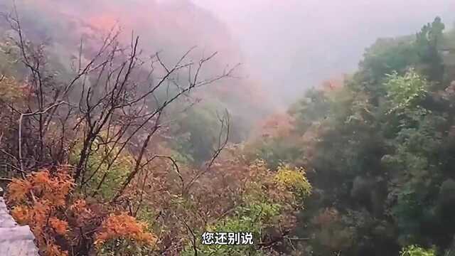 2、南京青龙山,千人部队神秘消失