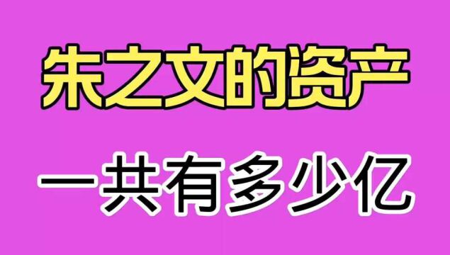 朱之文的资产一共有多少亿,你可能想不到.