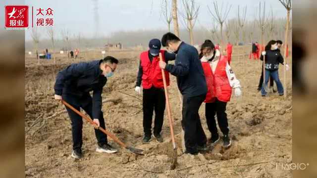 ︱东营市东营区:共植人才树 汇成人才林