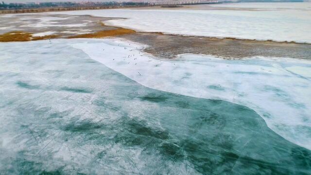 飞翔的春天——东北网与黑龙江省林草局联手“关注候鸟归来”大型融媒报道启动