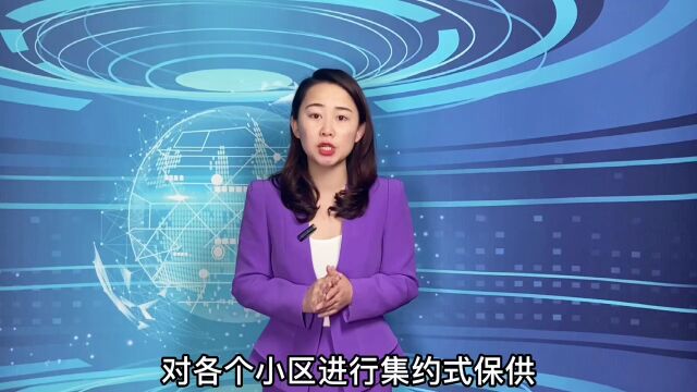 家蔬抵万金,上海母女掉1根葱被捡走,骑车追2公里讨回