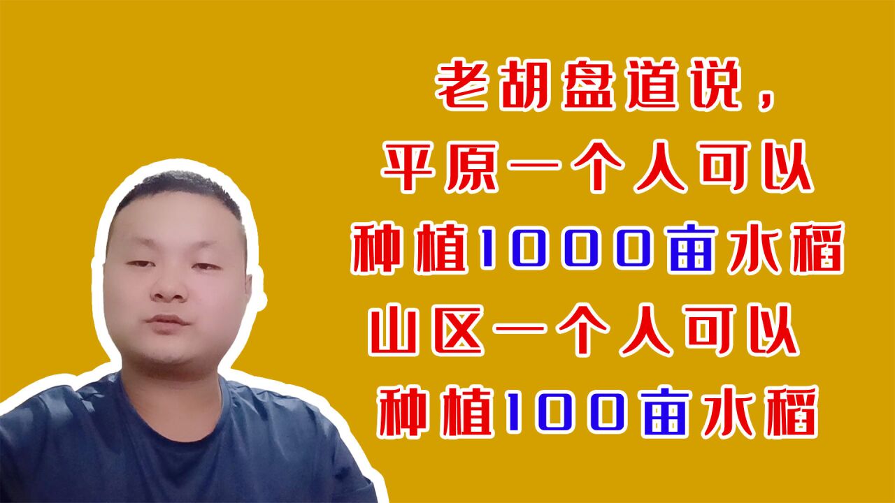 老胡盘道说:一个农民平原可以种植1000亩,山区可以种植100亩水稻