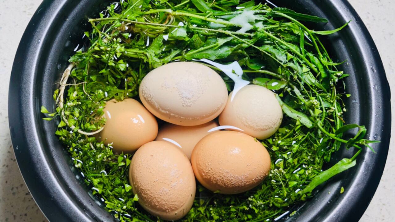 又到一年一度三月三吃荠菜花煮鸡蛋,都说荠菜煮蛋赛仙丹,这样煮也方便