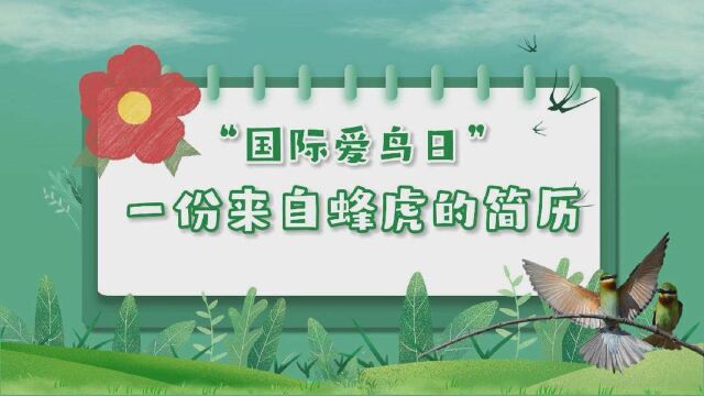 国际爱鸟日|一份来自蜂虎的简历