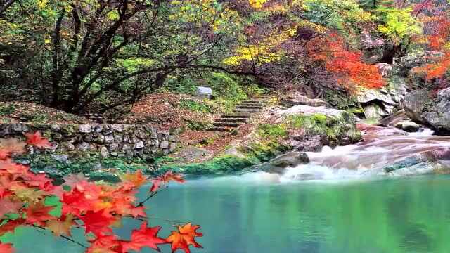 秦川最美看宝鸡