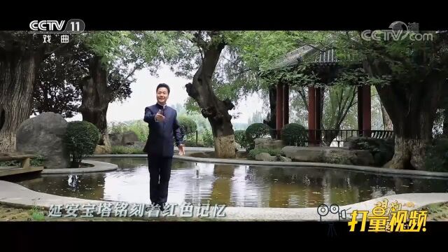 李小锋演唱《我的家乡在陕西》,高亢嘹亮的声音,惊艳